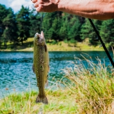 Thumbnail 2 - Fly Fishing