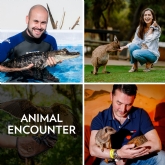 Thumbnail 1 - Animal Encounter