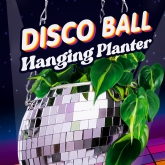 Thumbnail 3 - Disco Ball 6" Hanging Planter