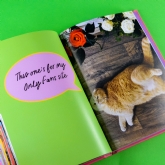 Thumbnail 7 - Sweary Cats Funny Book