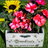 Thumbnail 4 - Personalised Engraved Wooden Planters