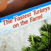 Thumbnail 6 - Racing Turkeys
