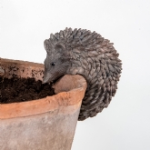 Thumbnail 1 - Hedgehog Pot Hanger