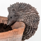 Thumbnail 2 - Hedgehog Pot Hanger