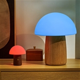 Thumbnail 3 - Wooden Mushroom Lamps