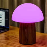 Thumbnail 6 - Wooden Mushroom Lamps