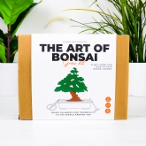 Thumbnail 3 - The Art of Bonsai Growing Kit