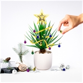 Thumbnail 1 - Christmas Festive Plant Baubles