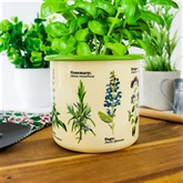 Thumbnail 1 - Herbs Plant Pot