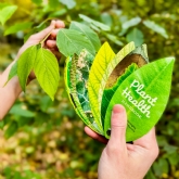 Thumbnail 10 - Healthy Plant Book