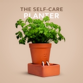 Thumbnail 2 - Self Care Planter