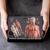 Thumbnail 2 - Human Anatomy Layer Puzzle