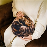 Thumbnail 1 - Cat Hot Water Bottle