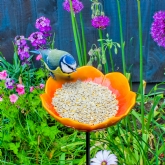 Thumbnail 1 - Wild Poppy Red Bird Feeder