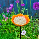 Thumbnail 6 - Wild Poppy Red Bird Feeder