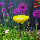 Thumbnail 4 - Sunflower Garden Bird Feeder