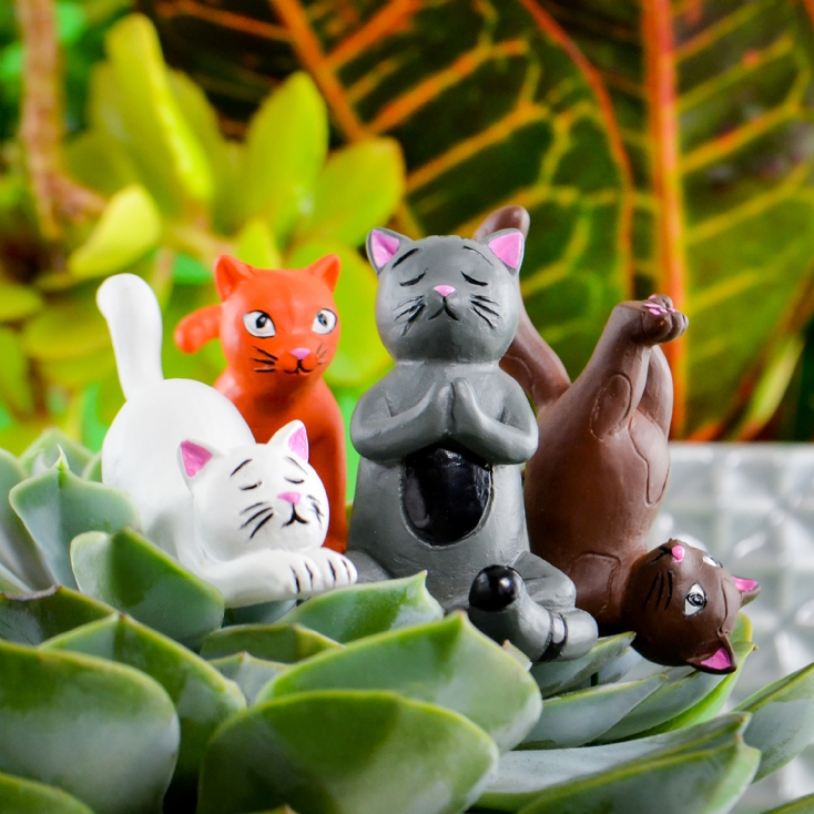  Gift Republic Mini Plant Pot Yoga Cats, Multicolor