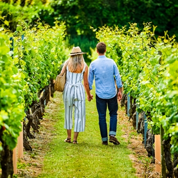 Tour and Tasting for Two at Chapel Down Vineyard