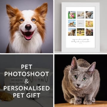 The Perfect Gift for Pet Lovers