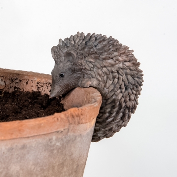 Hedgehog Pot Hanger