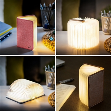 Smart Book Lights