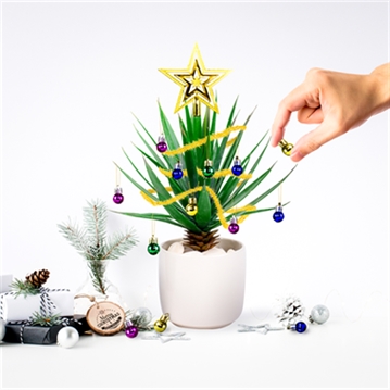 Christmas Festive Plant Baubles