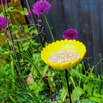 Sunflower Garden Bird Feeder